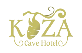Koza Experience