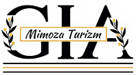 Gia Mimoza
